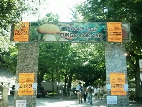 Images from Porcini mushroom festival in Cortona